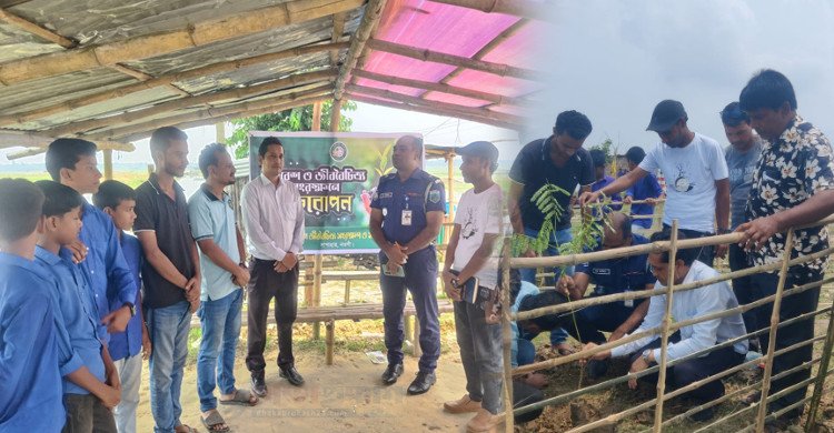 জবই বিলে পর্যটকদের জন্য ছায়াময় পরিবেশ গড়ে তুলতে বৃক্ষরোপণ কর্মসূচি